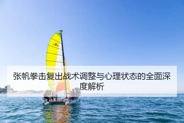张帆拳击复出战术调整与心理状态的全面深度解析
